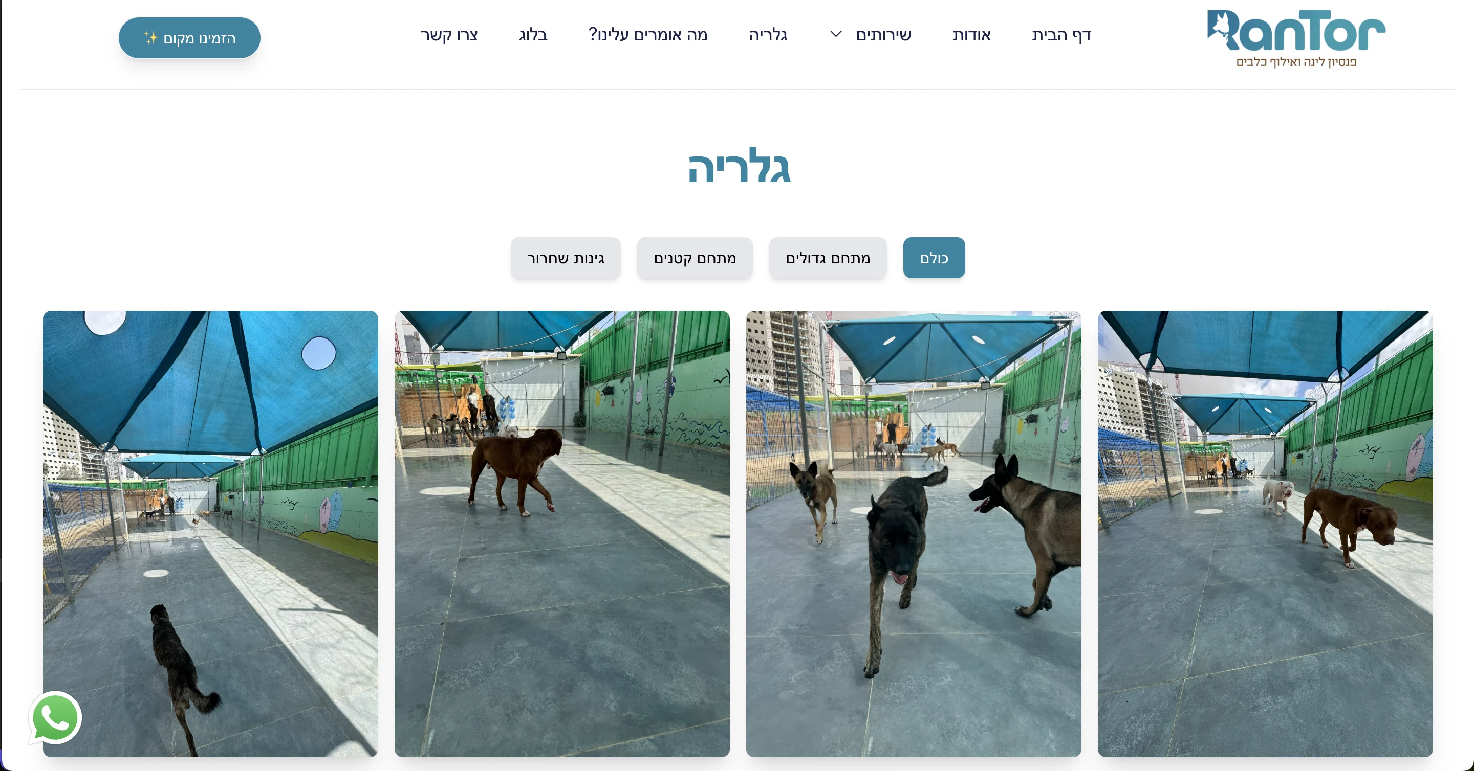 RanTor 🐕 - Image 5