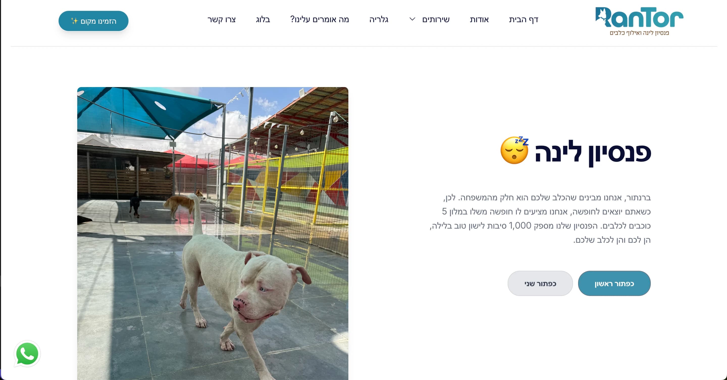 RanTor 🐕 - Image 4