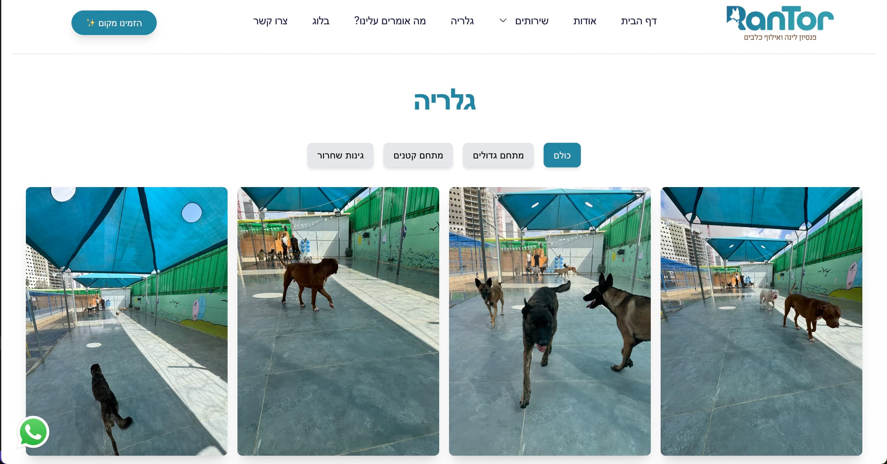 RanTor 🐕 - Image 5