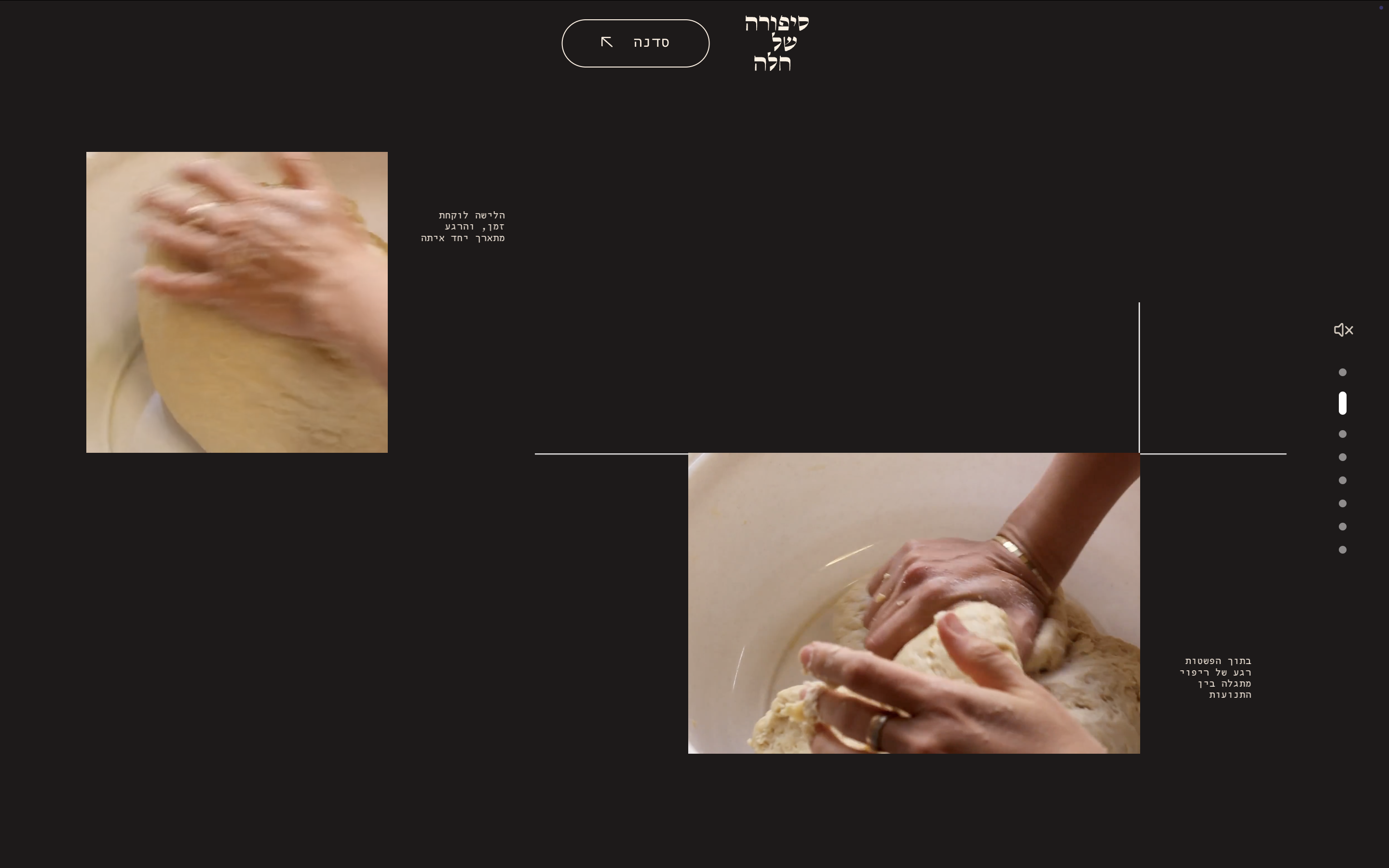 Project screenshot 4