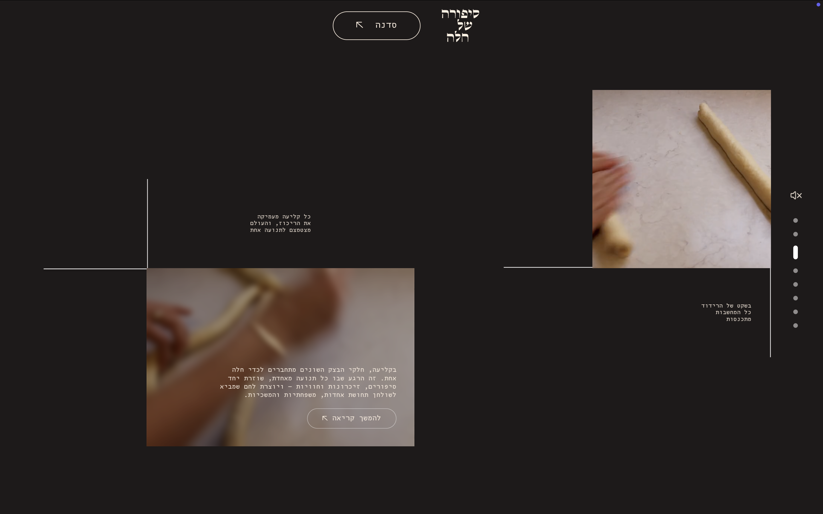 Project screenshot 8