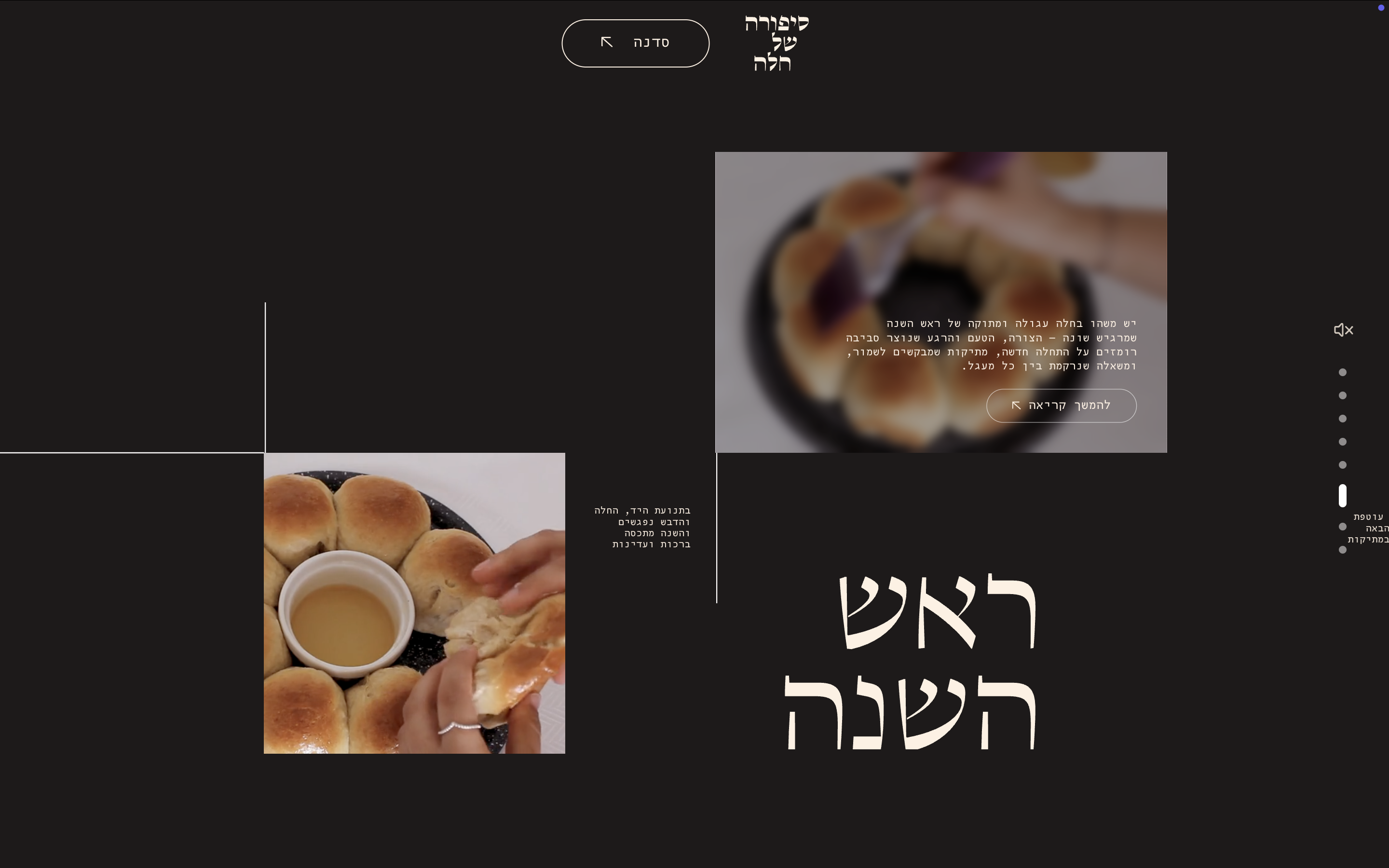Project screenshot 10