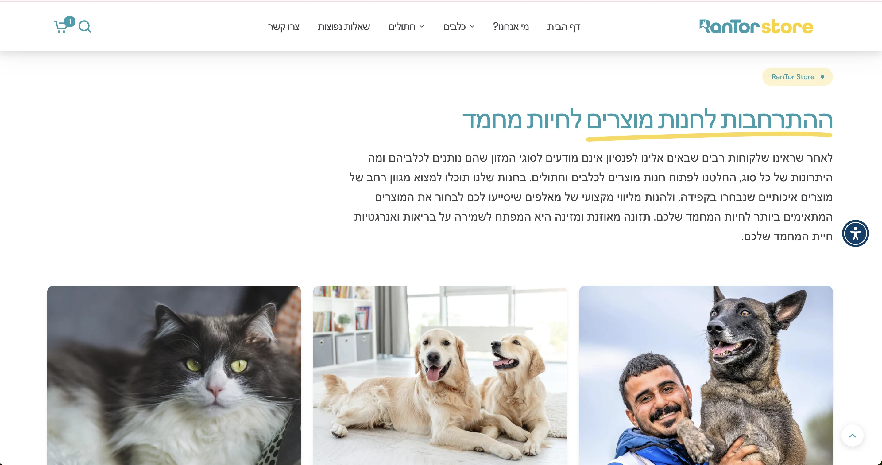 RanTor Store 🐶 - Image 3